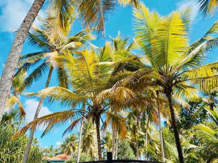 Palm House - Luxury Villa - Samana - Ocean Front Sanchez Luaran gambar