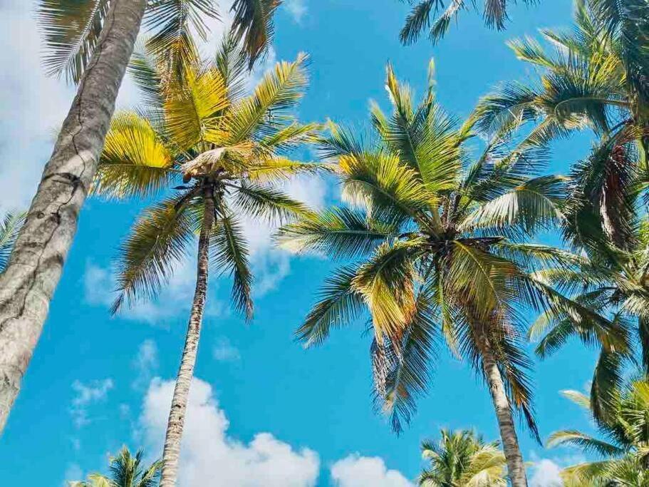 Palm House - Luxury Villa - Samana - Ocean Front Sanchez Luaran gambar