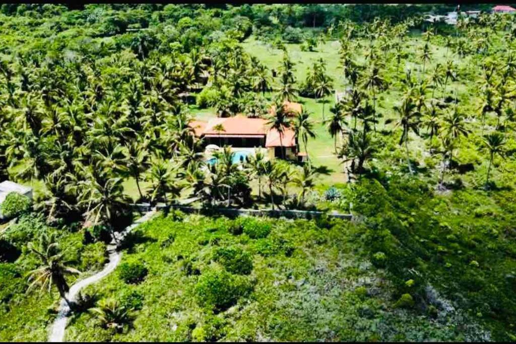 Palm House - Luxury Villa - Samana - Ocean Front Sanchez Luaran gambar