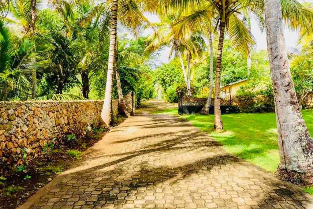 Palm House - Luxury Villa - Samana - Ocean Front Sanchez Luaran gambar