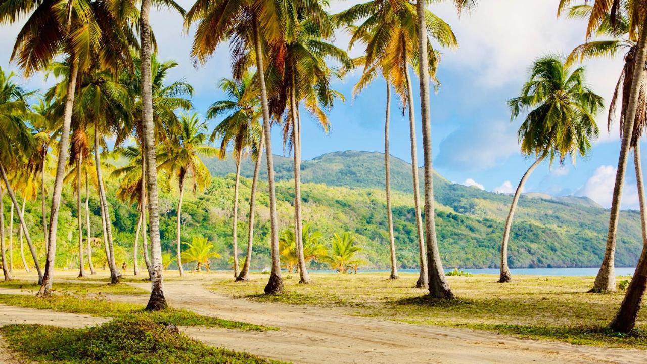 Palm House - Luxury Villa - Samana - Ocean Front Sanchez Luaran gambar